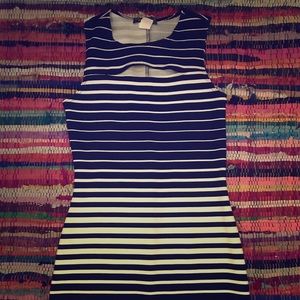 Black and White striped midi length dress